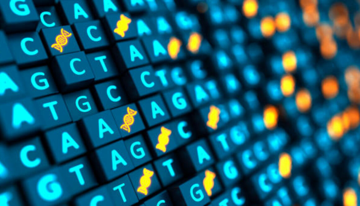 Bioinformatics Services