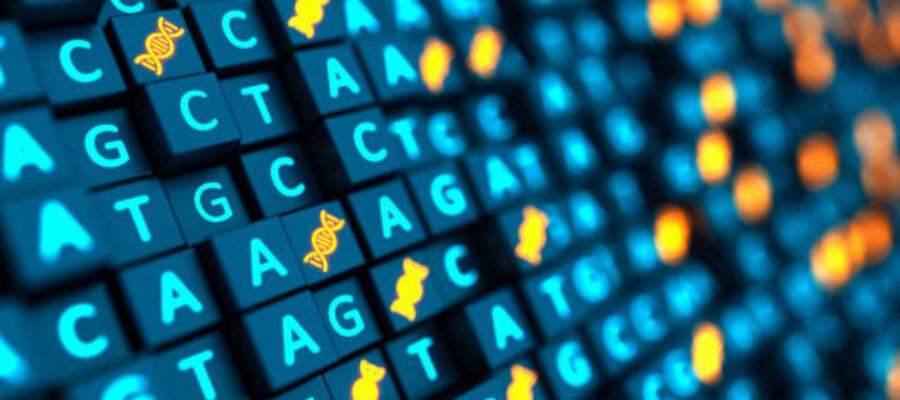 Bioinformatics Services Bioinformatics Services
